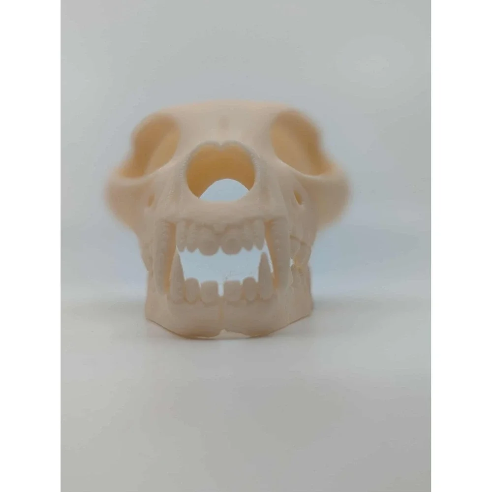 Dog Skull Hide, Reptile enrichment,‎ Tank Decor
